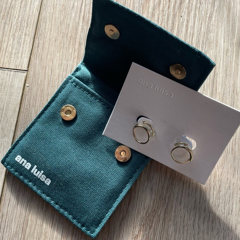 NWT Ana Luisa Harley Double Hoop Earrings
